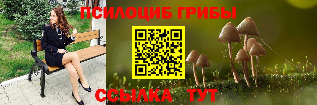 Галлюциногенные грибы прущие грибы  Вход с VPN  Карталы 